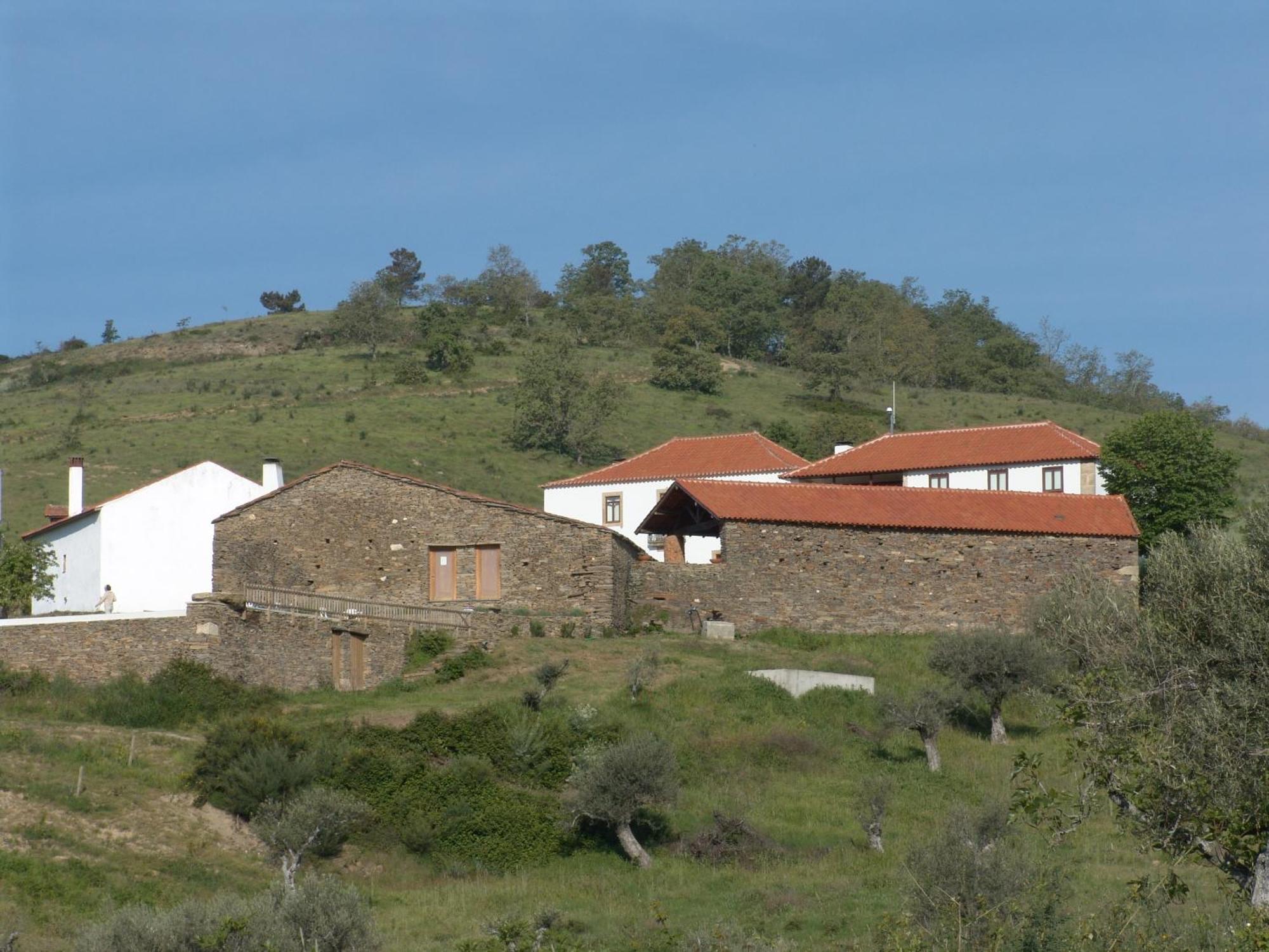 فيلا Quinta Da Alagoa Santa Maria de Émeres المظهر الخارجي الصورة