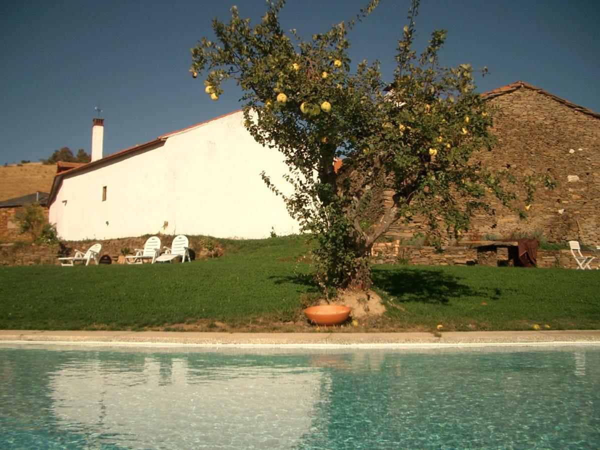 فيلا Quinta Da Alagoa Santa Maria de Émeres المظهر الخارجي الصورة