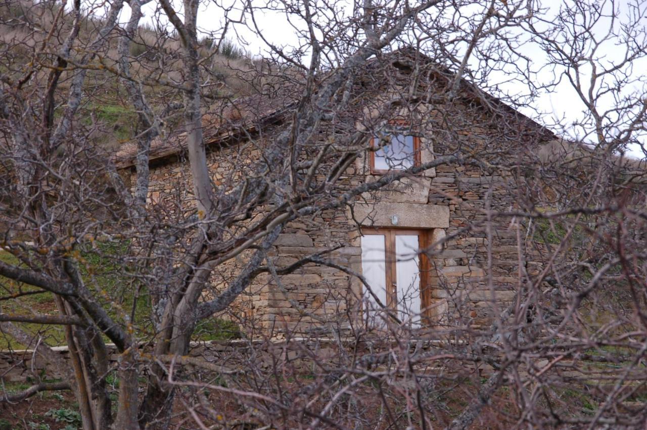 فيلا Quinta Da Alagoa Santa Maria de Émeres المظهر الخارجي الصورة