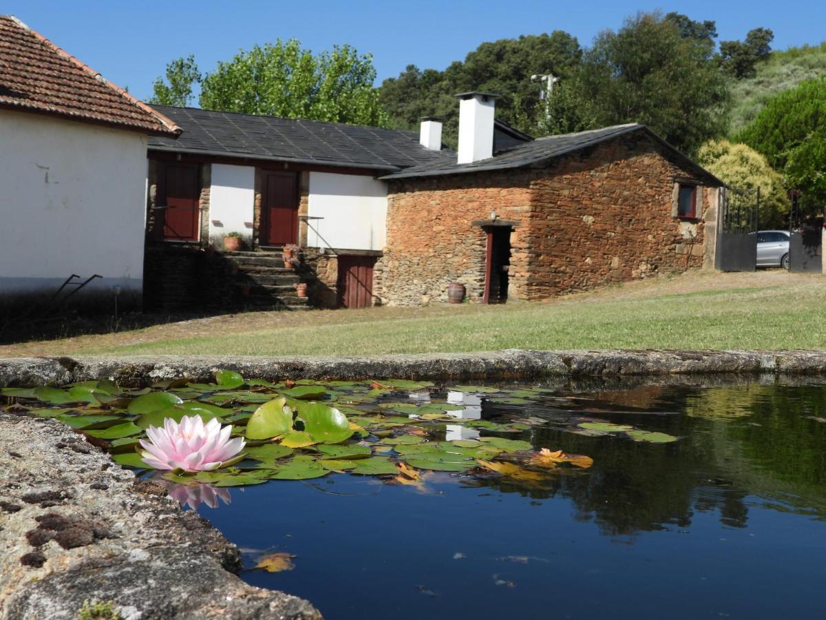 فيلا Quinta Da Alagoa Santa Maria de Émeres المظهر الخارجي الصورة