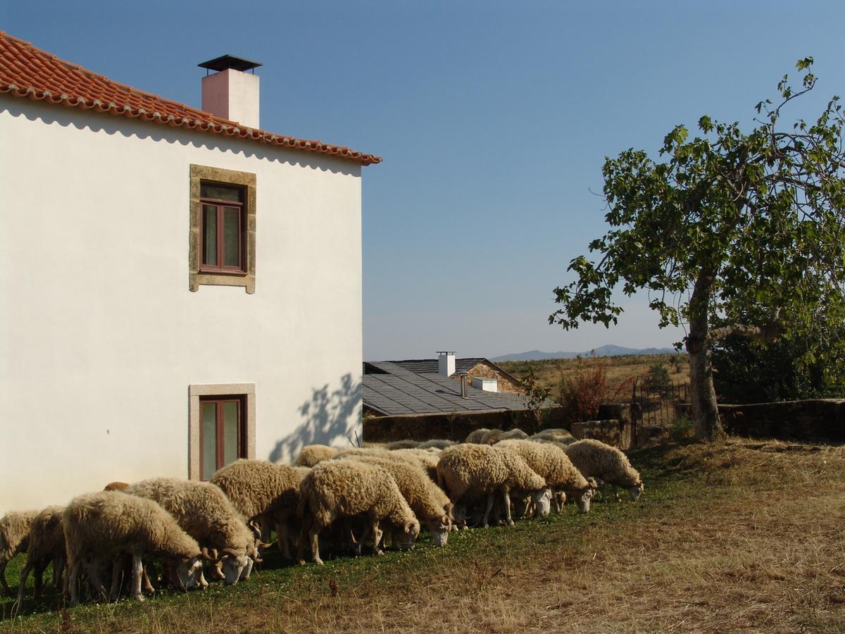 فيلا Quinta Da Alagoa Santa Maria de Émeres المظهر الخارجي الصورة