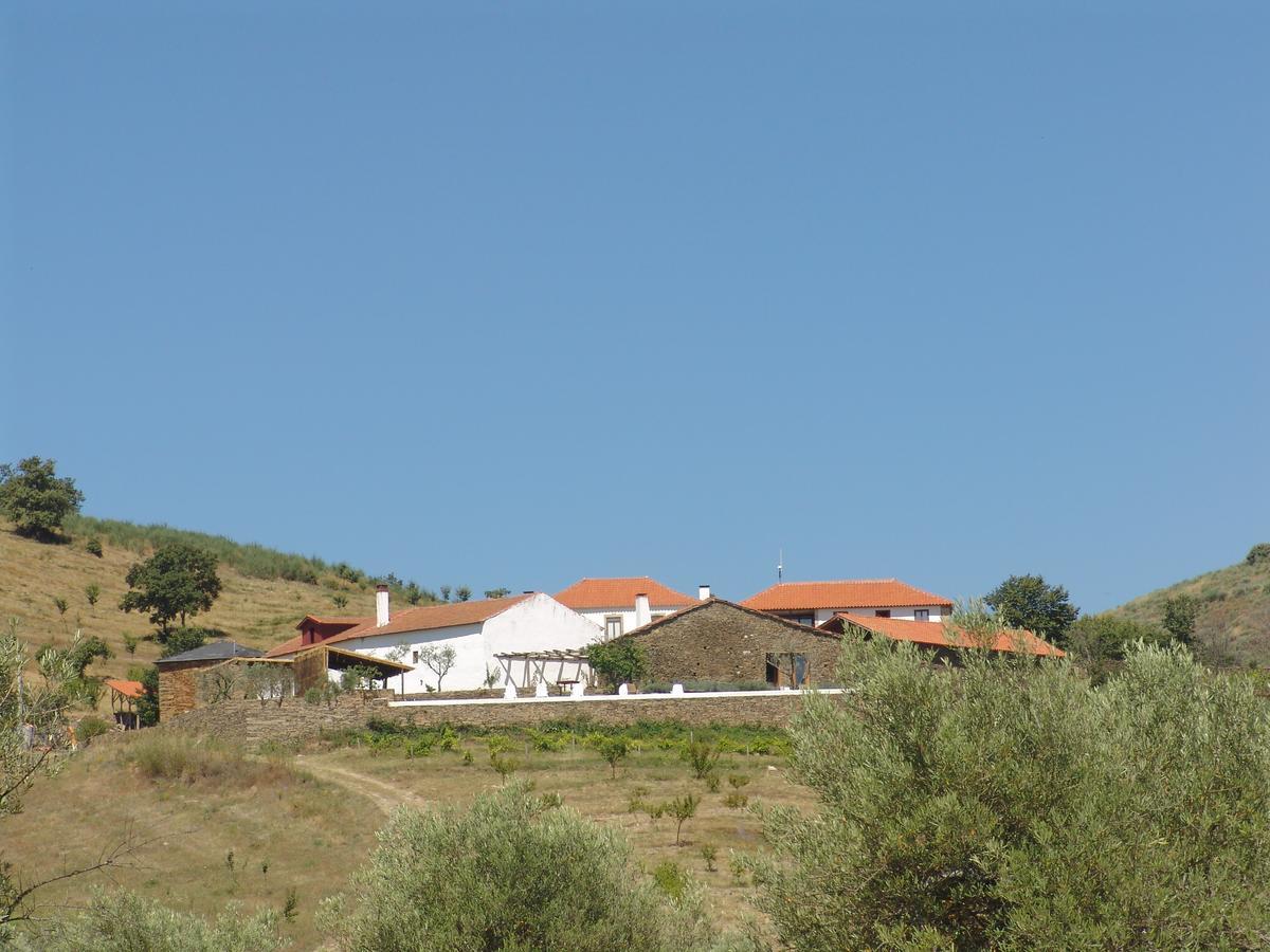 فيلا Quinta Da Alagoa Santa Maria de Émeres المظهر الخارجي الصورة