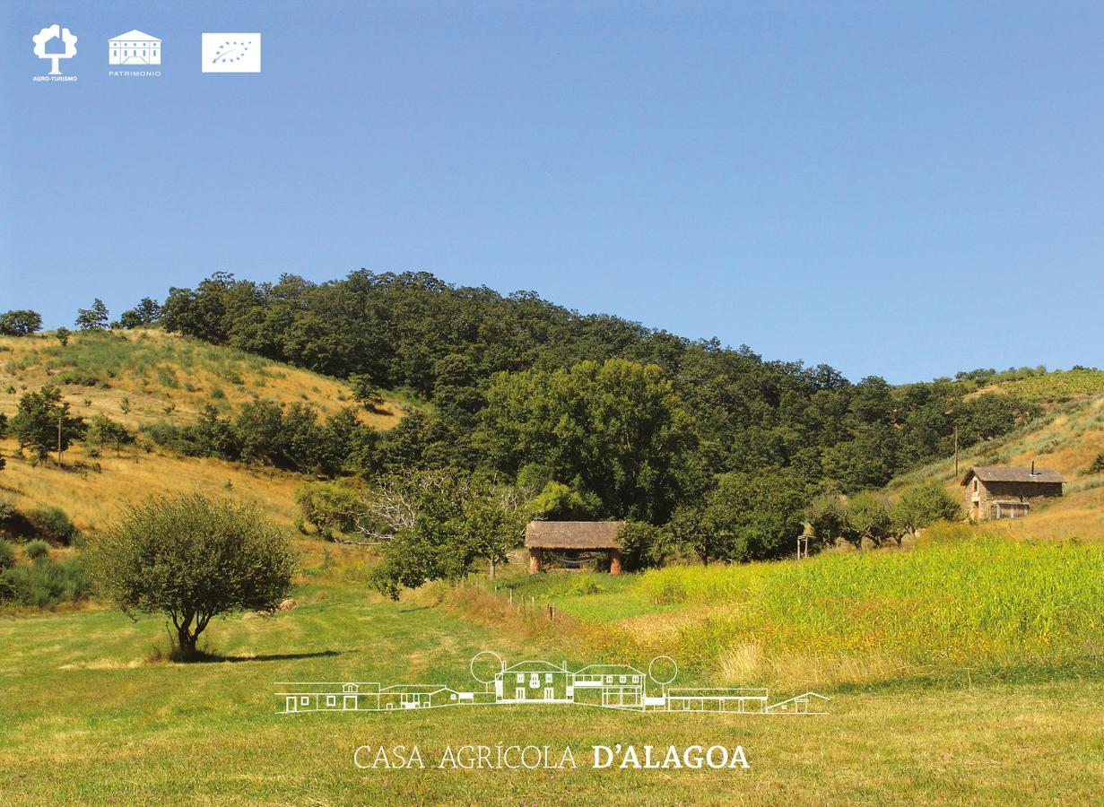 فيلا Quinta Da Alagoa Santa Maria de Émeres المظهر الخارجي الصورة