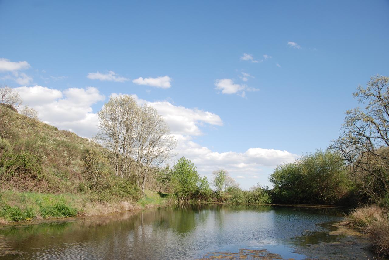 فيلا Quinta Da Alagoa Santa Maria de Émeres المظهر الخارجي الصورة