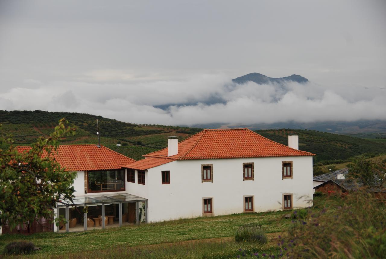 فيلا Quinta Da Alagoa Santa Maria de Émeres المظهر الخارجي الصورة