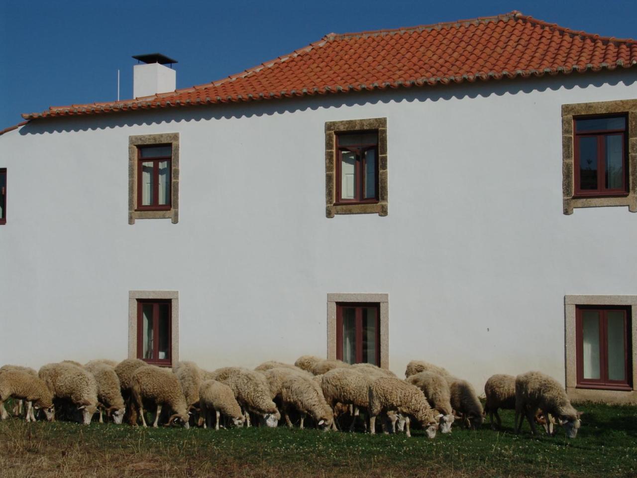 فيلا Quinta Da Alagoa Santa Maria de Émeres المظهر الخارجي الصورة